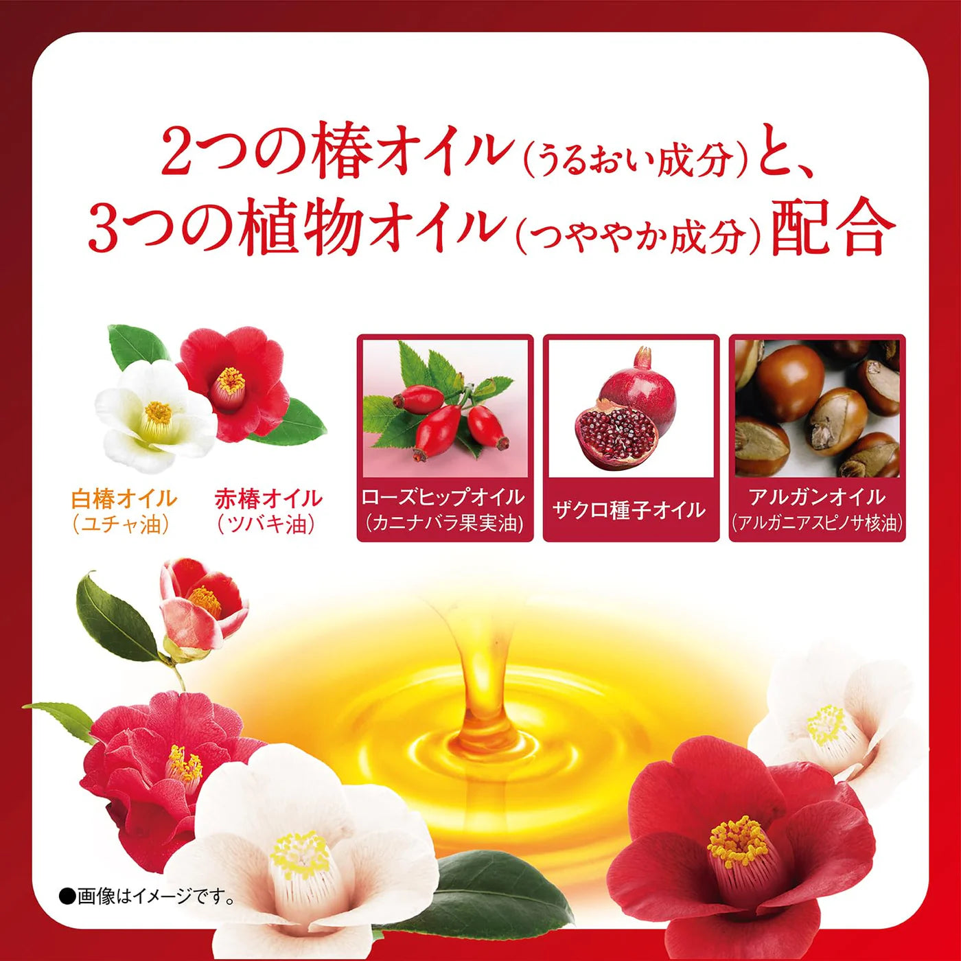 Dariya mitrinošs matu krēms ar kamēlijas eļļu